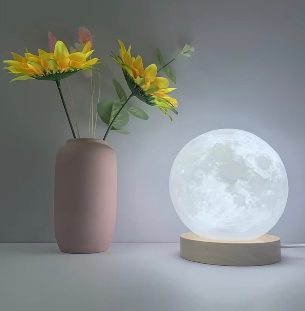 Minimilist moon light